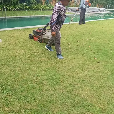 Jasa bersih bersih rumput