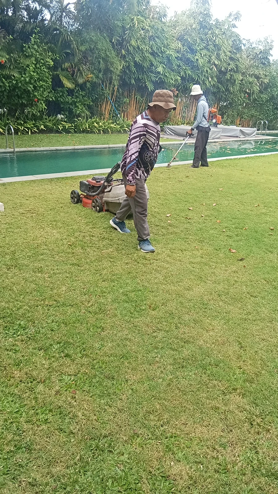 Jasa bersih bersih rumput