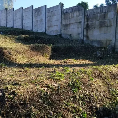 Jasa potong kayu,rumput, bersih bersih villa,buang poing