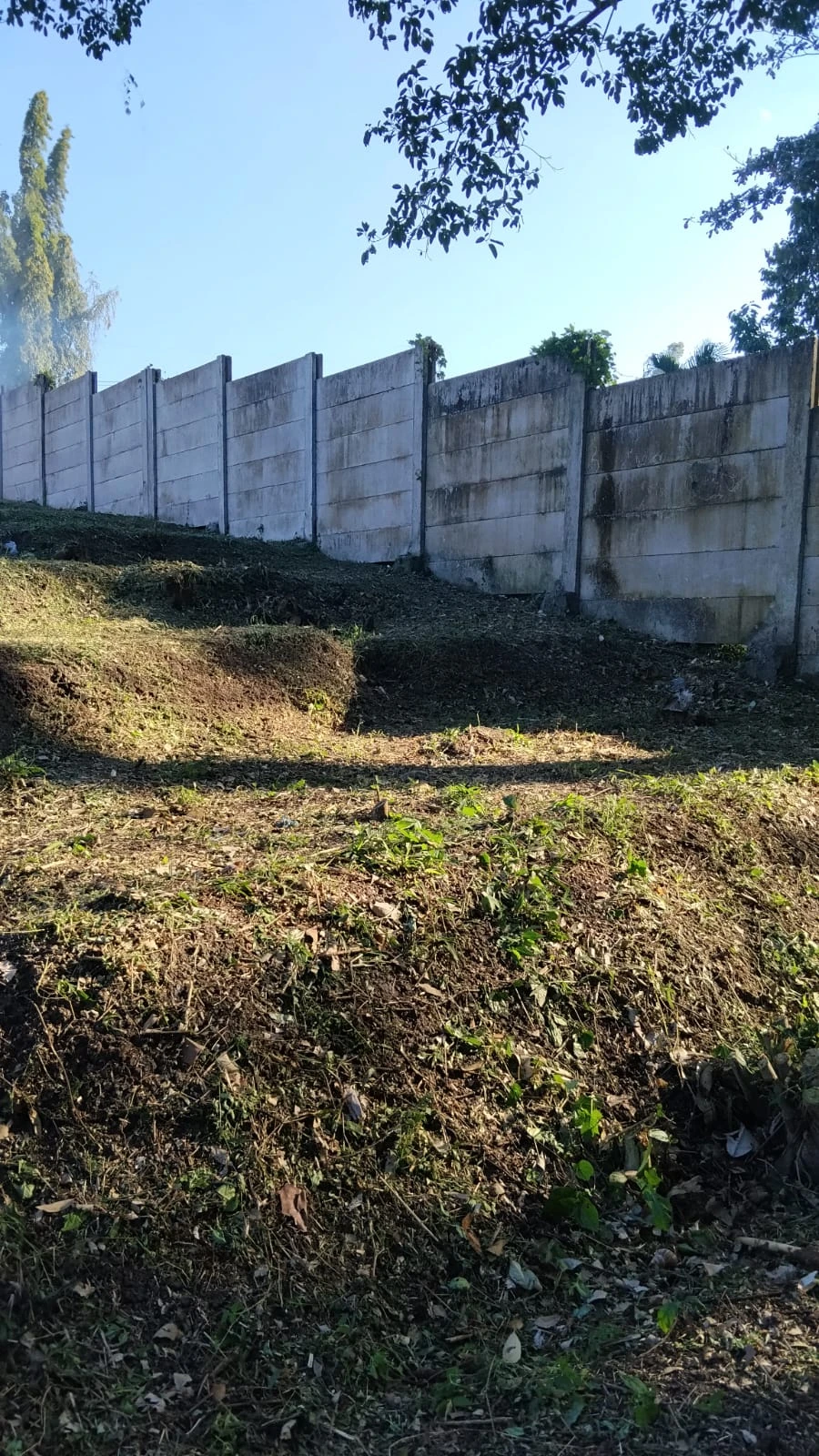 Jasa potong kayu,rumput, bersih bersih villa,buang poing